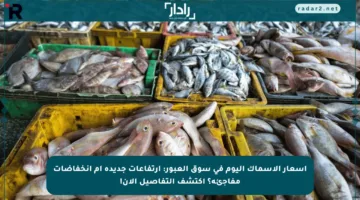 أسعار الأسماك اليوم في سوق العبور: ارتفاعات جديدة أم انخفاضات مفاجئة؟ اكتشف التفاصيل الآن!